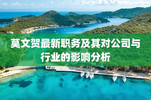 莫文贺最新职务及其对公司与行业的影响分析
