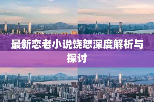最新恋老小说饶恕深度解析与探讨