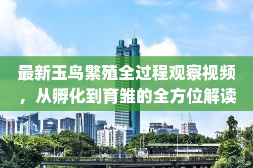 最新玉鸟繁殖全过程观察视频，从孵化到育雏的全方位解读