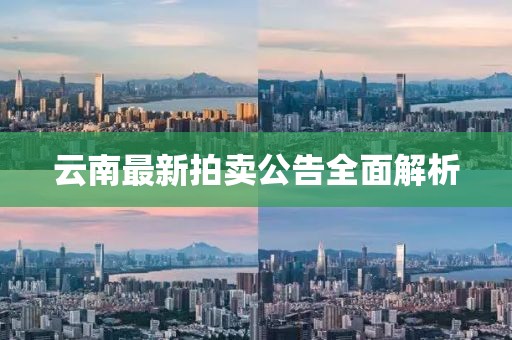云南最新拍卖公告全面解析