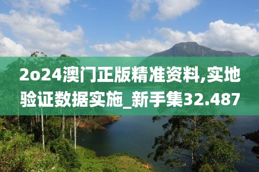 2o24澳门正版精准资料,实地验证数据实施_新手集32.487