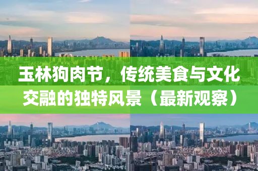 玉林狗肉节，传统美食与文化交融的独特风景（最新观察）