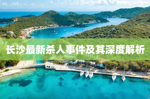 长沙最新杀人事件及其深度解析