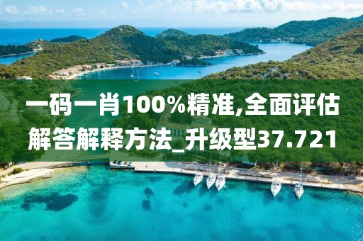 一码一肖100%精准,全面评估解答解释方法_升级型37.721