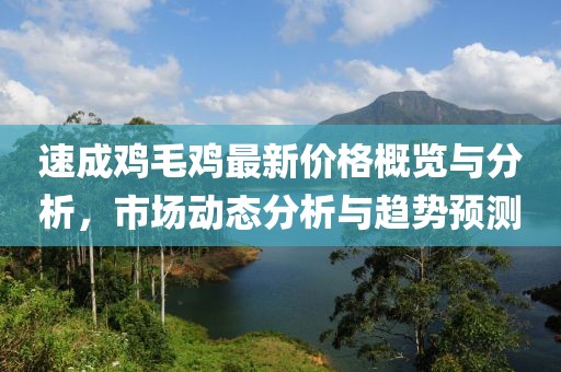 速成鸡毛鸡最新价格概览与分析，市场动态分析与趋势预测