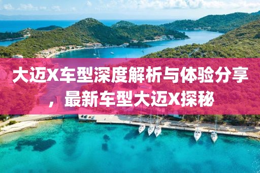 大迈X车型深度解析与体验分享，最新车型大迈X探秘