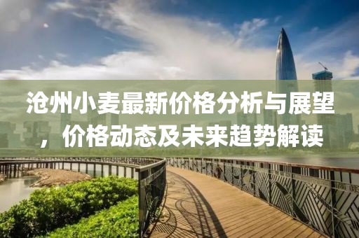 沧州小麦最新价格分析与展望，价格动态及未来趋势解读