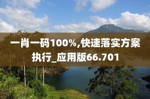 一肖一码100%,快速落实方案执行_应用版66.701