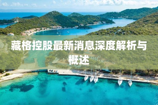 藏格控股最新消息深度解析与概述