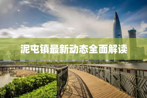 泥屯镇最新动态全面解读