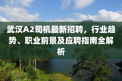 武汉A2司机最新招聘，行业趋势、职业前景及应聘指南全解析