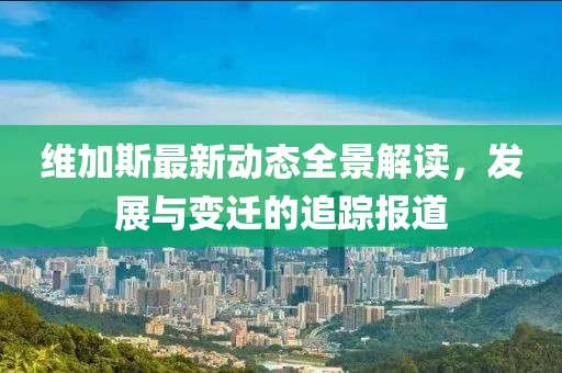 维加斯最新动态全景解读，发展与变迁的追踪报道