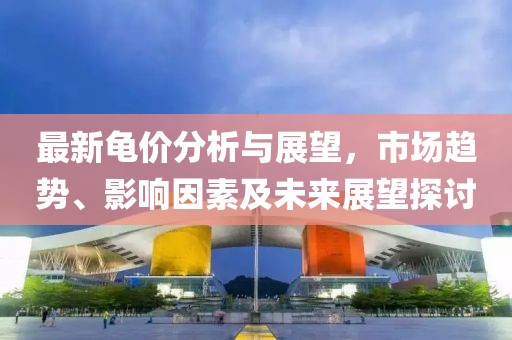 最新龟价分析与展望，市场趋势、影响因素及未来展望探讨