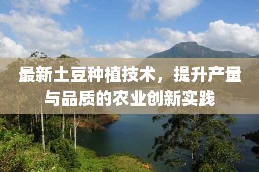 最新土豆种植技术，提升产量与品质的农业创新实践