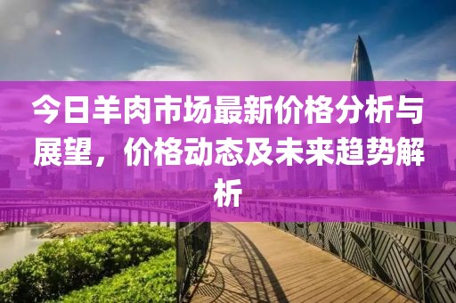 今日羊肉市场最新价格分析与展望，价格动态及未来趋势解析