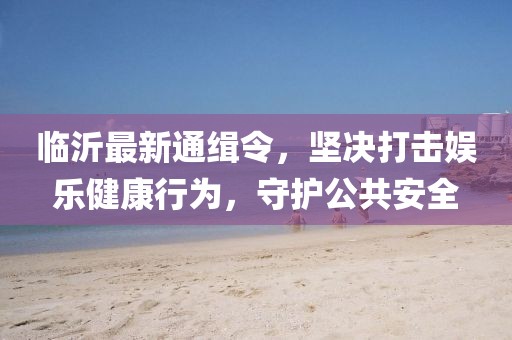 临沂最新通缉令，坚决打击娱乐健康行为，守护公共安全
