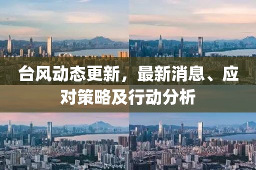 台风动态更新，最新消息、应对策略及行动分析