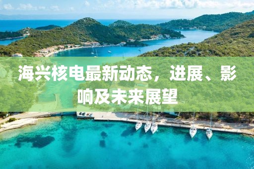 海兴核电最新动态，进展、影响及未来展望