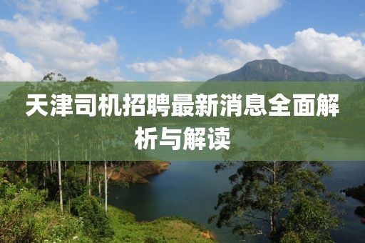 天津司机招聘最新消息全面解析与解读