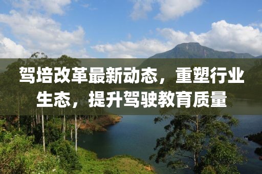 驾培改革最新动态，重塑行业生态，提升驾驶教育质量