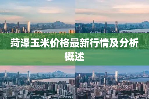 菏泽玉米价格最新行情及分析概述
