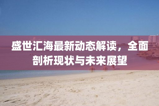 盛世汇海最新动态解读，全面剖析现状与未来展望