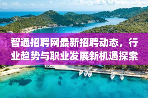 智通招聘网最新招聘动态，行业趋势与职业发展新机遇探索