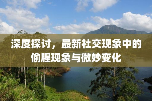 深度探讨，最新社交现象中的偷腥现象与微妙变化