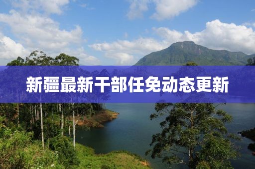 新疆最新干部任免动态更新