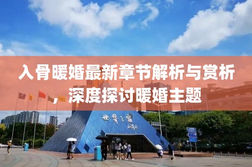 入骨暖婚最新章节解析与赏析，深度探讨暖婚主题