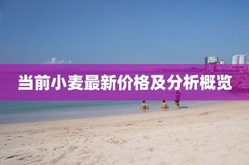 当前小麦最新价格及分析概览