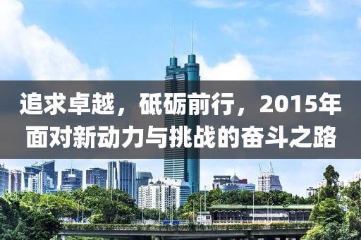 追求卓越，砥砺前行，2015年面对新动力与挑战的奋斗之路