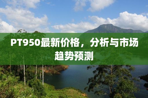 PT950最新价格，分析与市场趋势预测