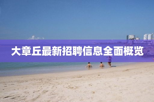 大章丘最新招聘信息全面概览