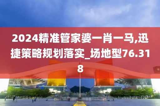 2024精准管家婆一肖一马,迅捷策略规划落实_场地型76.318