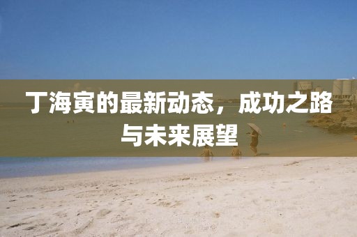 丁海寅的最新动态，成功之路与未来展望