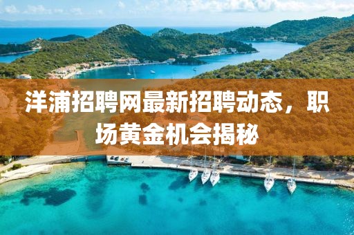 洋浦招聘网最新招聘动态，职场黄金机会揭秘