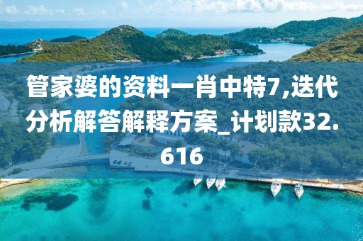 管家婆的资料一肖中特7,迭代分析解答解释方案_计划款32.616