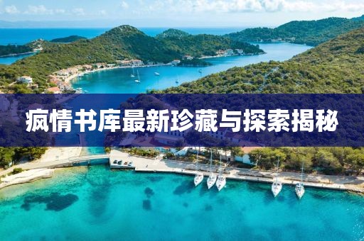 疯情书库最新珍藏与探索揭秘