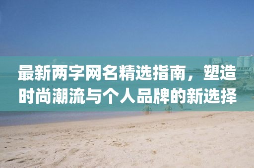 最新两字网名精选指南，塑造时尚潮流与个人品牌的新选择