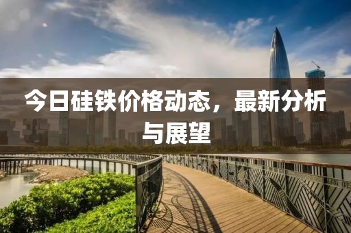 今日硅铁价格动态，最新分析与展望