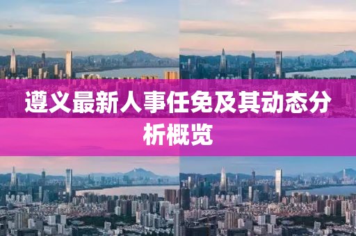 新澳资料免费精准 第15页