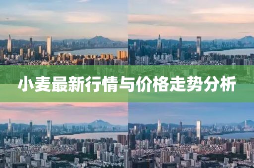 小麦最新行情与价格走势分析