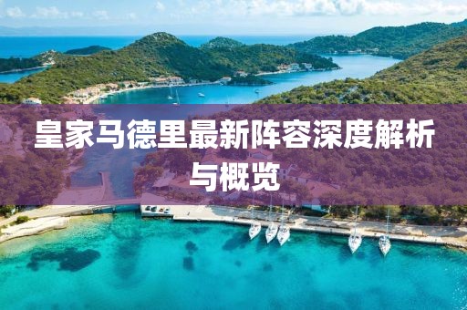 皇家马德里最新阵容深度解析与概览
