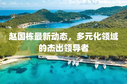 赵国栋最新动态，多元化领域的杰出领导者