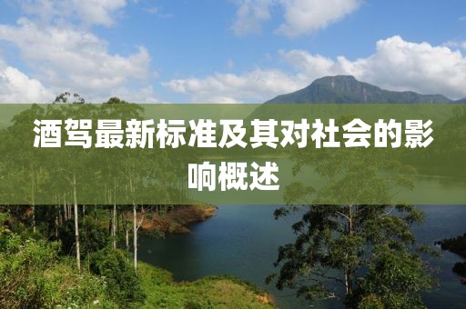 酒驾最新标准及其对社会的影响概述