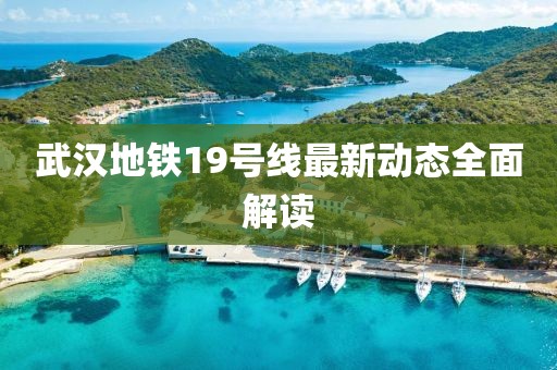 武汉地铁19号线最新动态全面解读