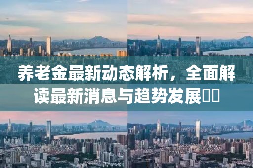 养老金最新动态解析，全面解读最新消息与趋势发展​​