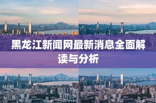 黑龙江新闻网最新消息全面解读与分析