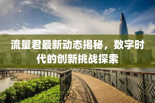 流量君最新动态揭秘，数字时代的创新挑战探索